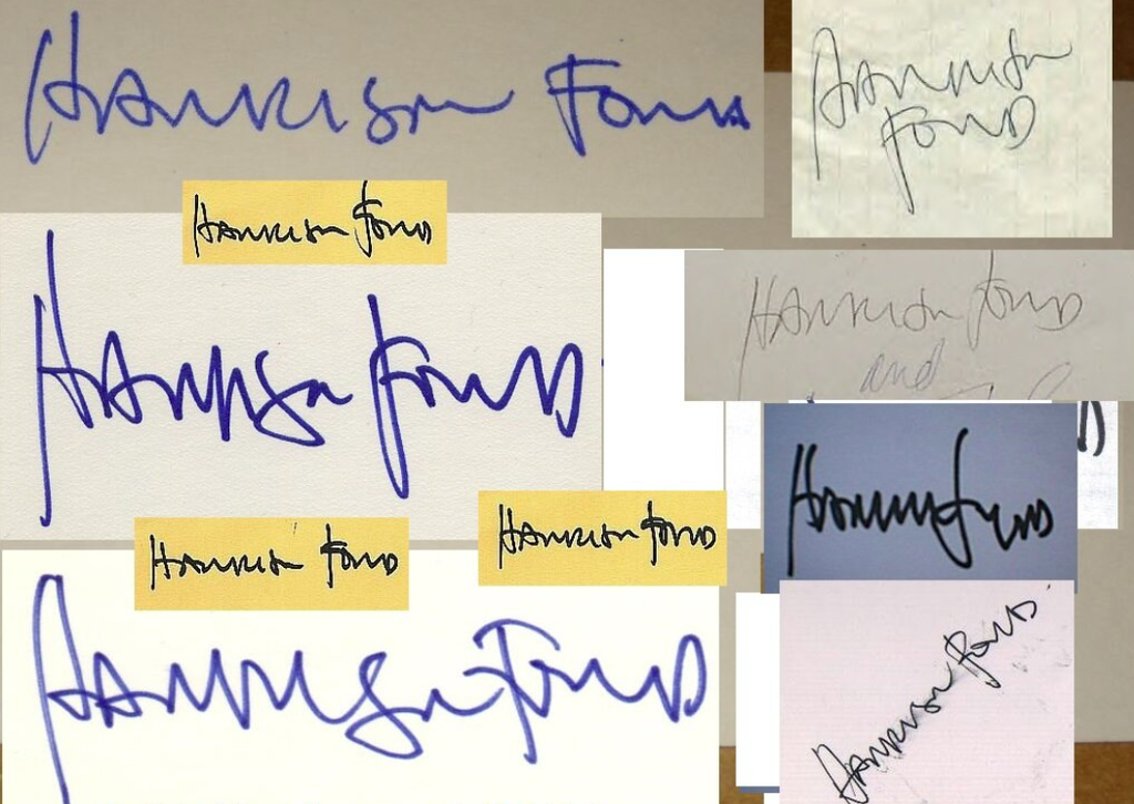 Signature Study Series #2 - Harrison Ford
